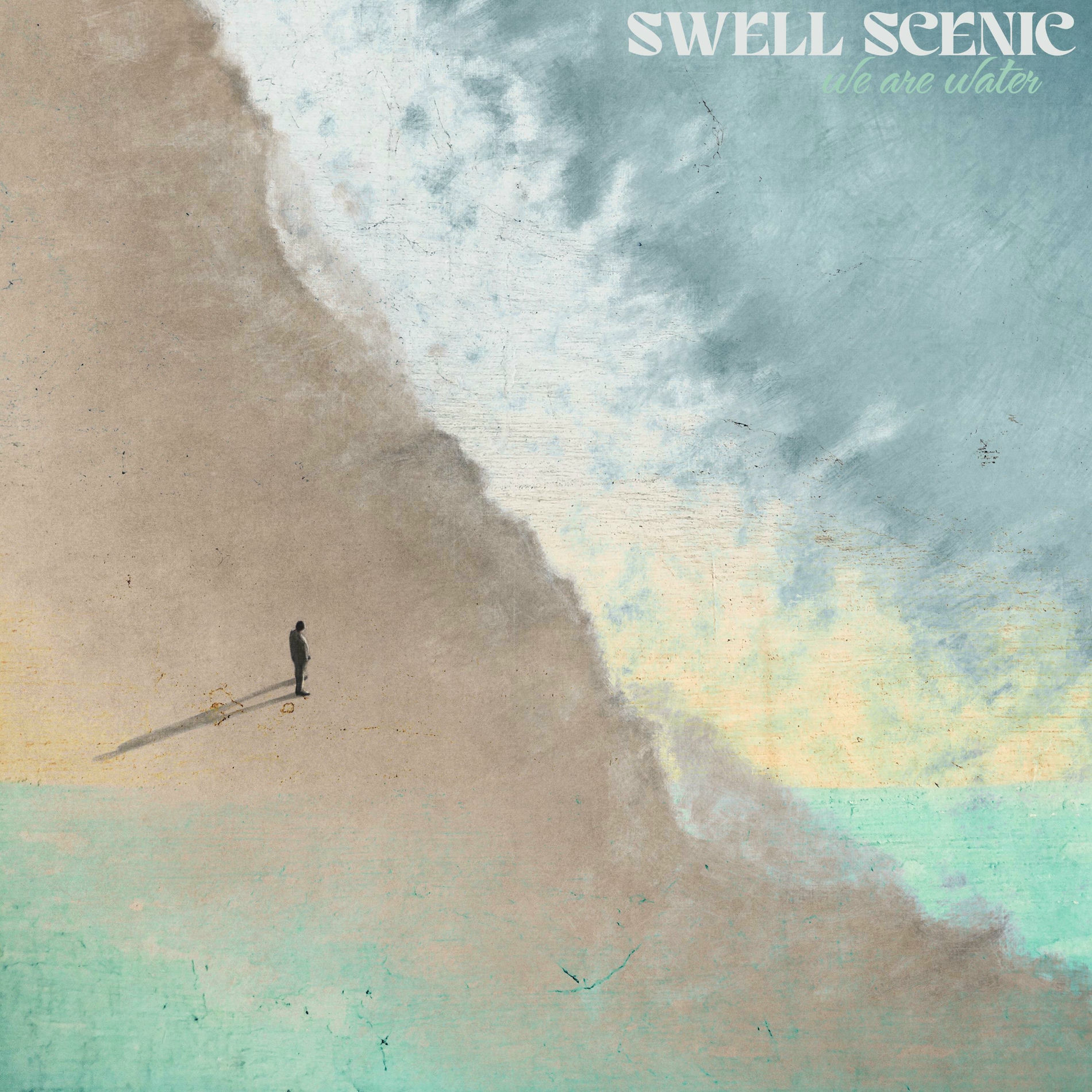 Album cover of We Are Water (feat. Michael Shynes)