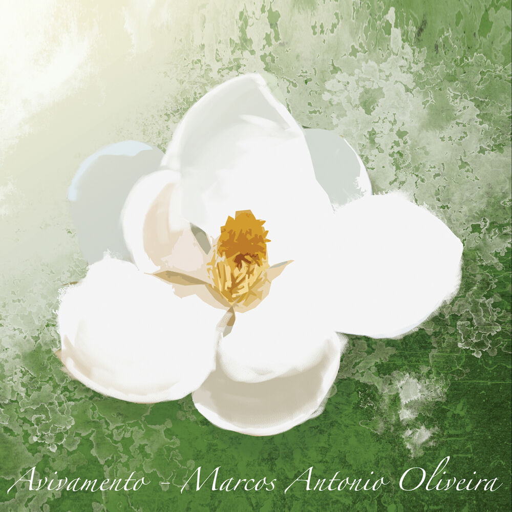 Picture of Avivamento
