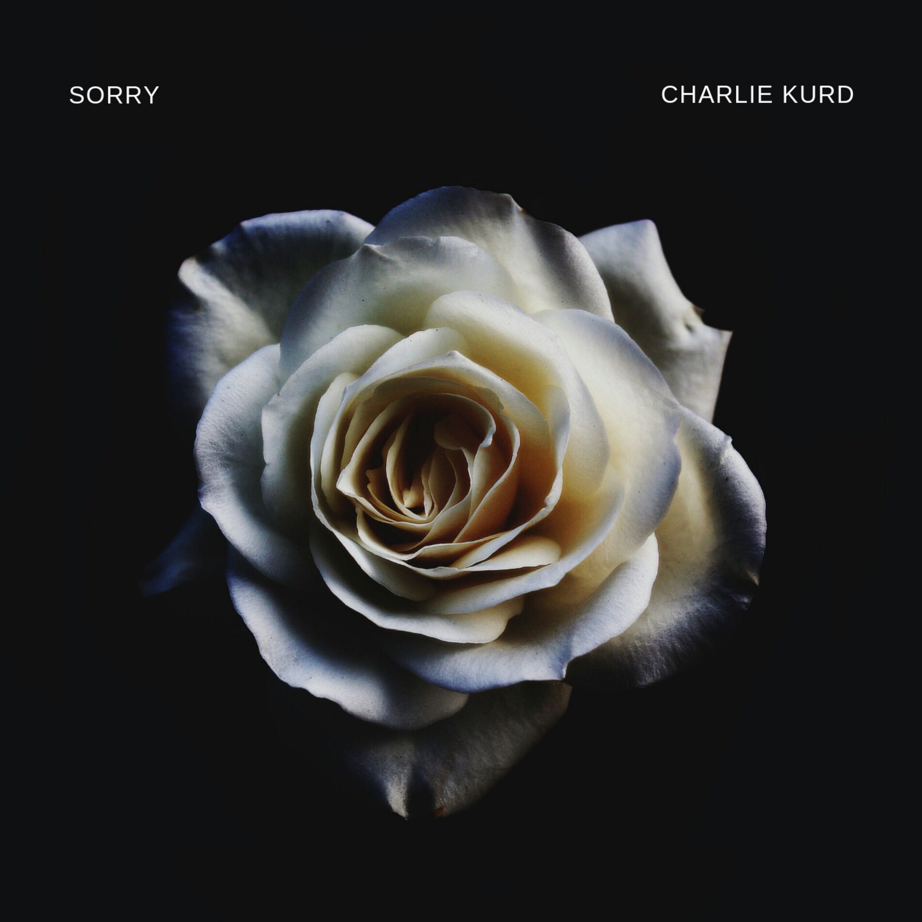 Album cover of sorry