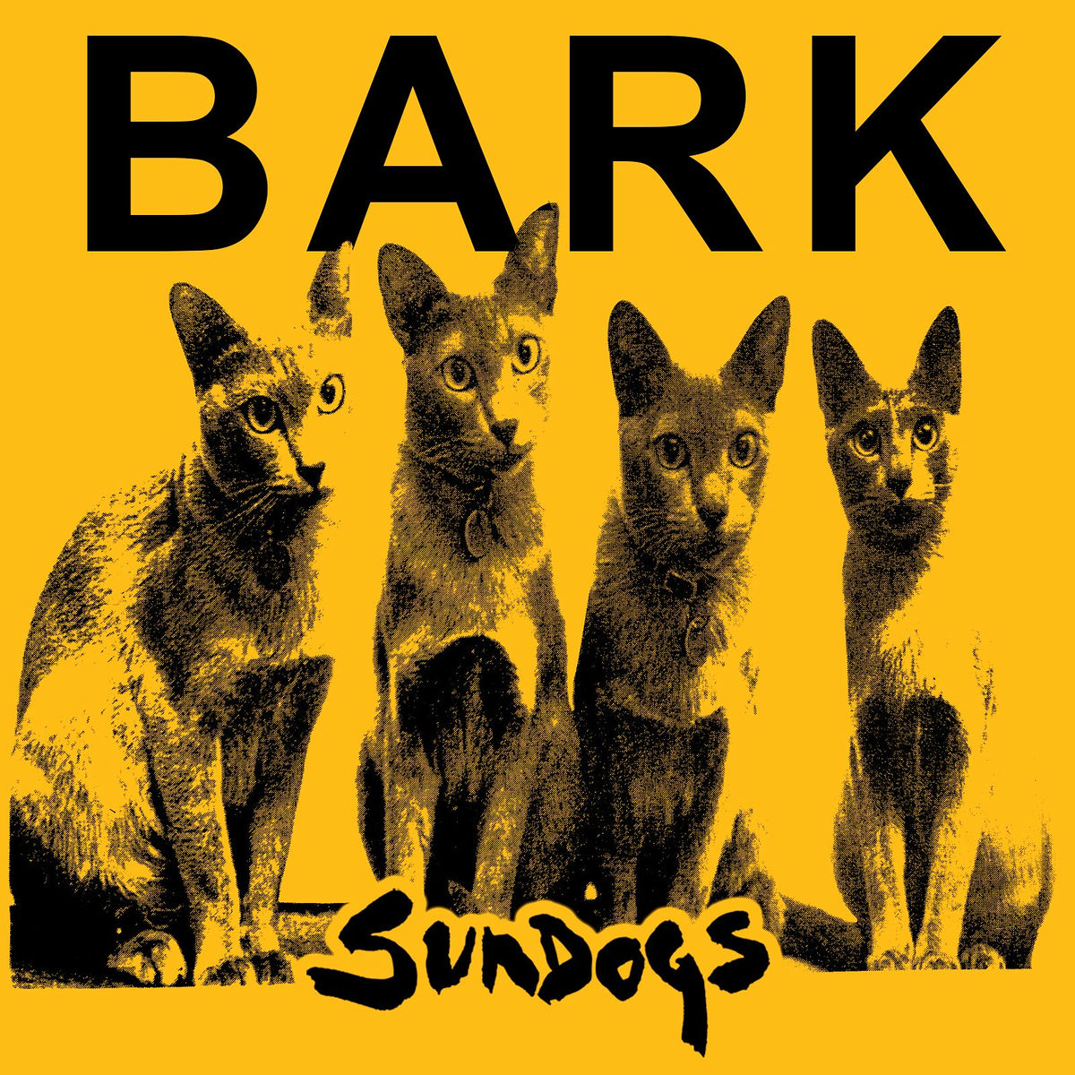 Album cover of Bark