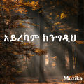 አይረባም ከንግዲህ