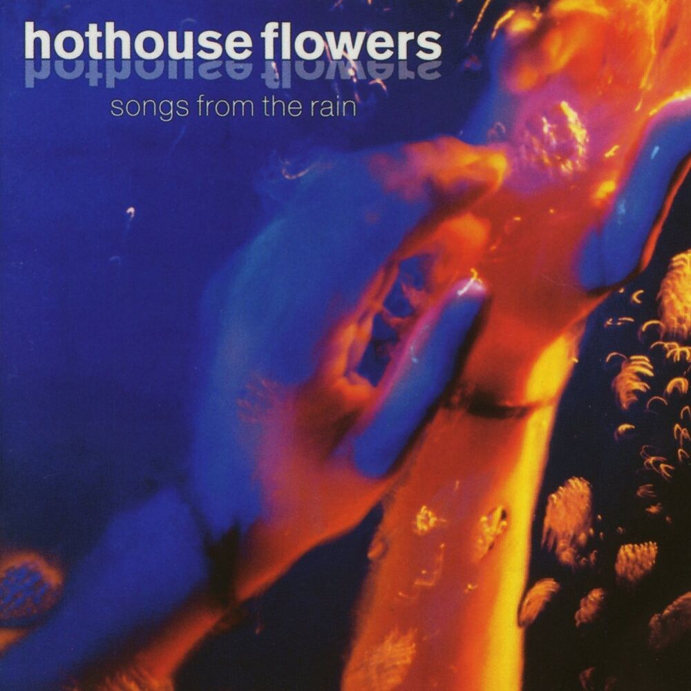 Picture of Songs from the Rain