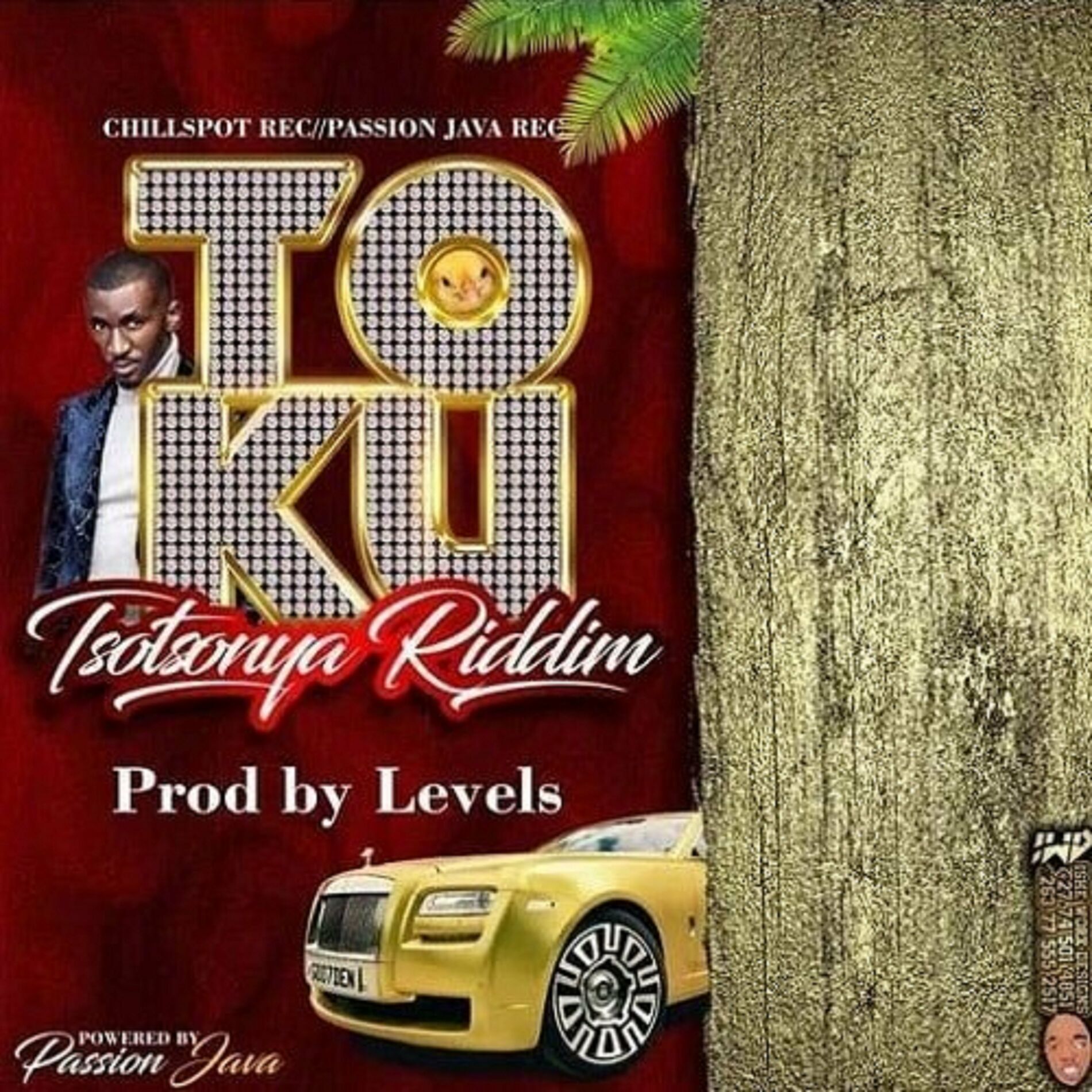 Album cover of Tokutsotsonya Riddim