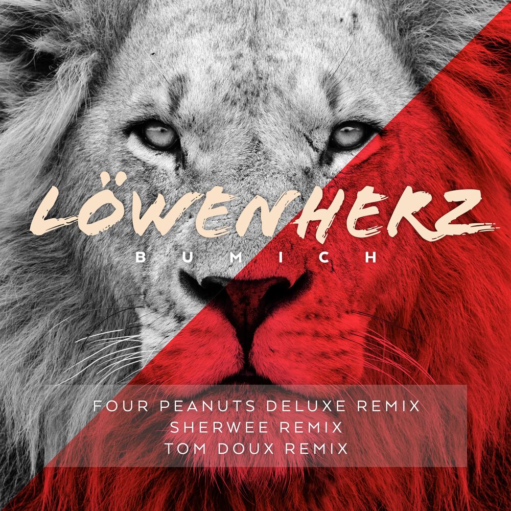 Picture of Löwenherz (The Remixes)