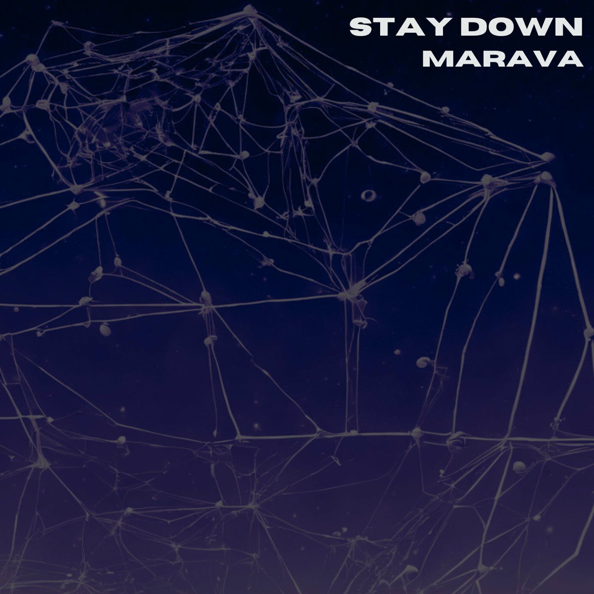 Album cover of Stay Down