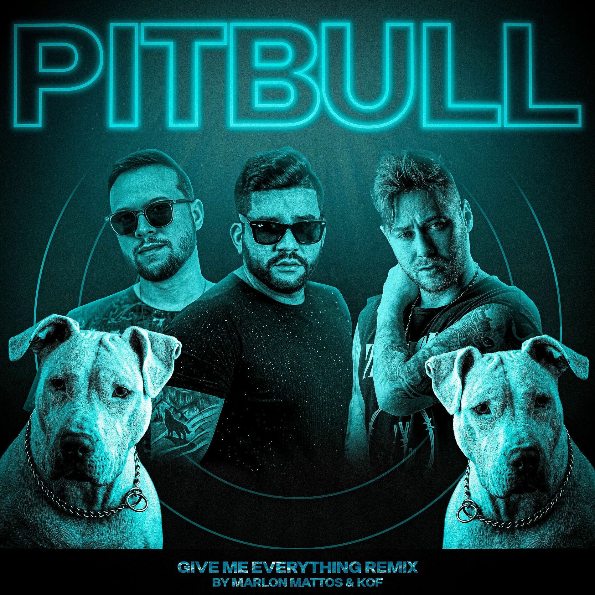 Album cover of GIVE ME EVERYTHING - (FUNK REMIX)