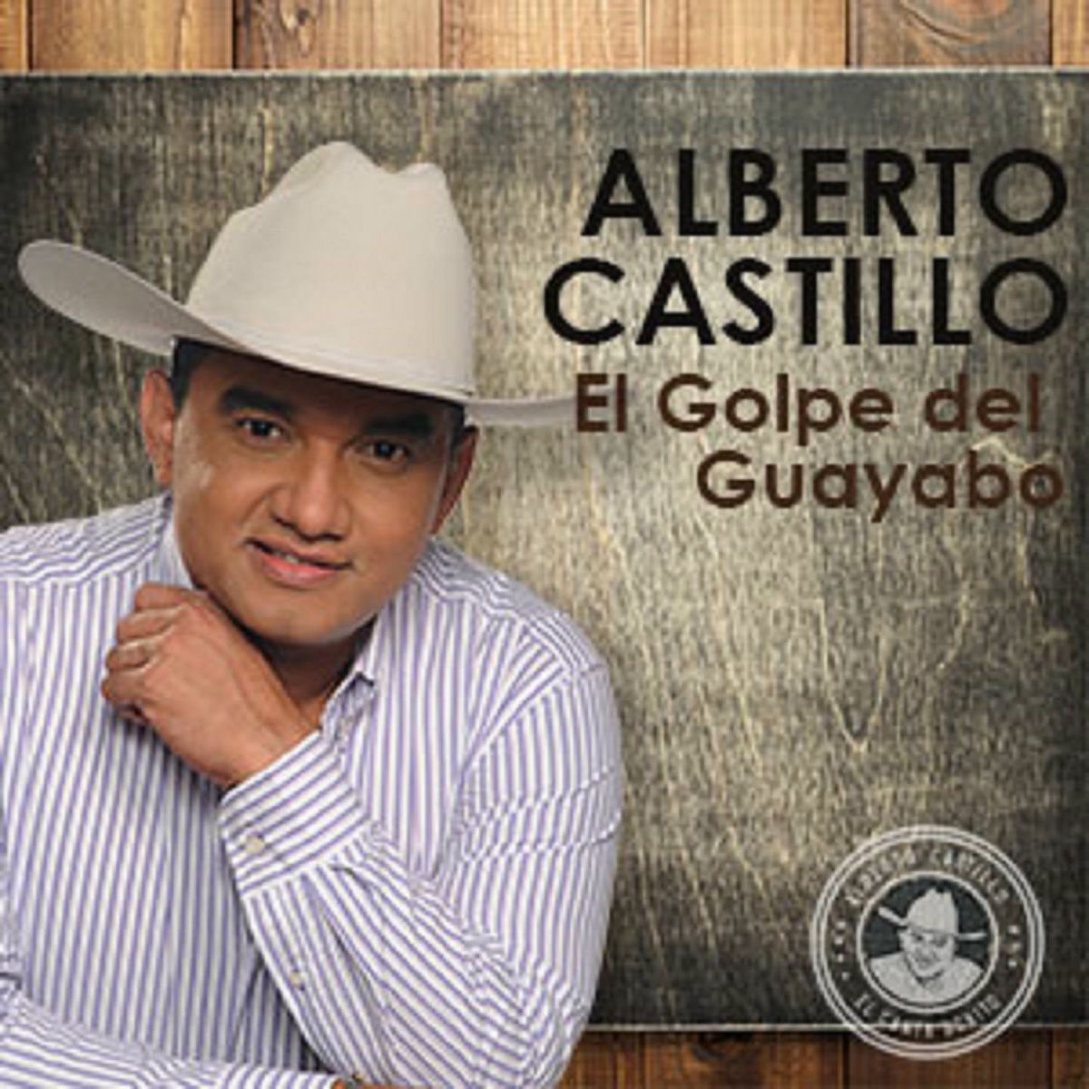 Album cover of El Golpe del Guayabo