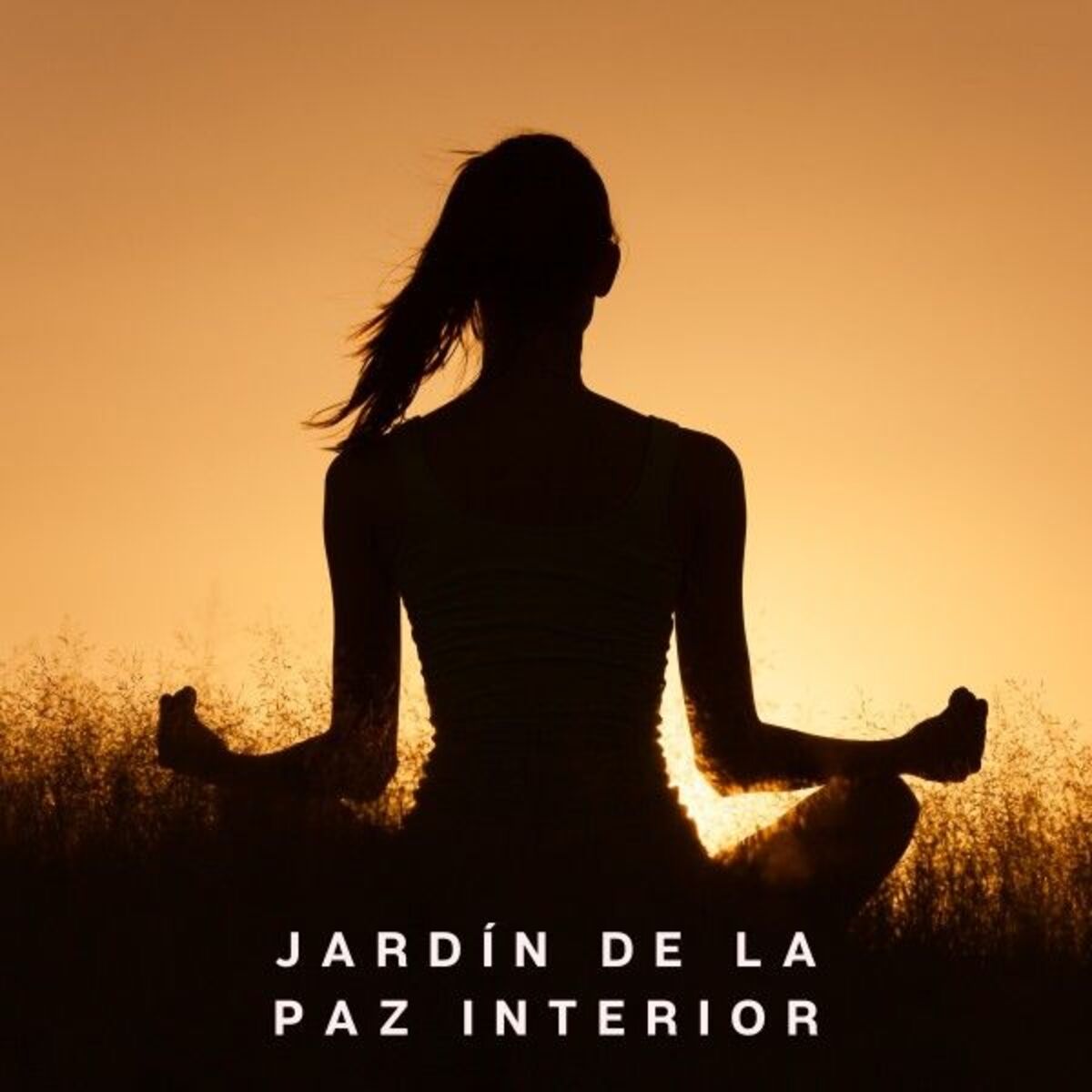 Album cover of Jardín De La Paz Interior