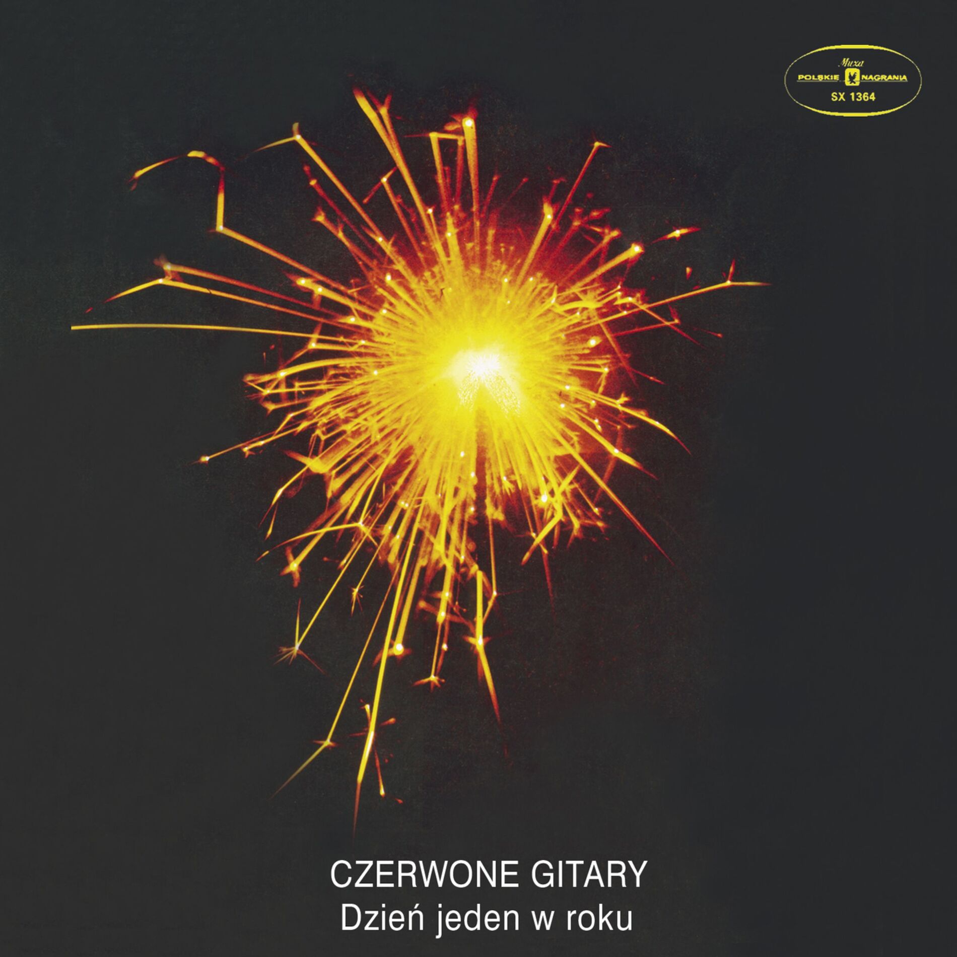 Album cover of Dzień jeden w roku