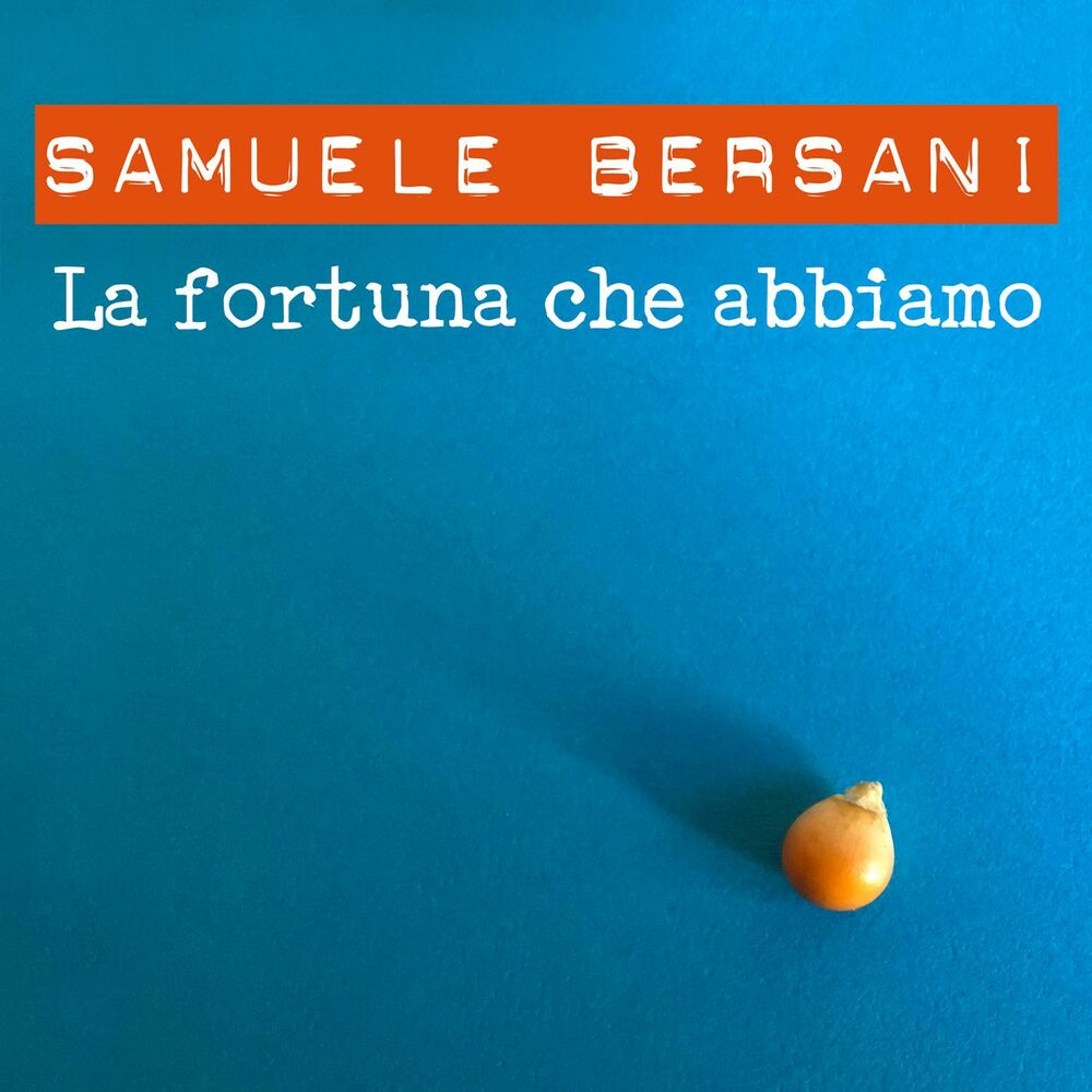 Picture of La fortuna che abbiamo