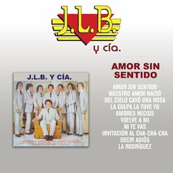 Cover of Amor Sin Sentido