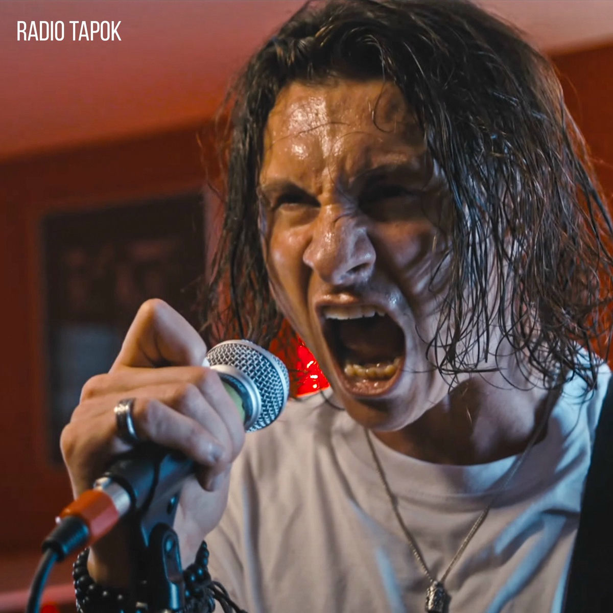 Album cover of The Pretender