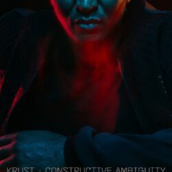 Cover of Constructive Ambiguity