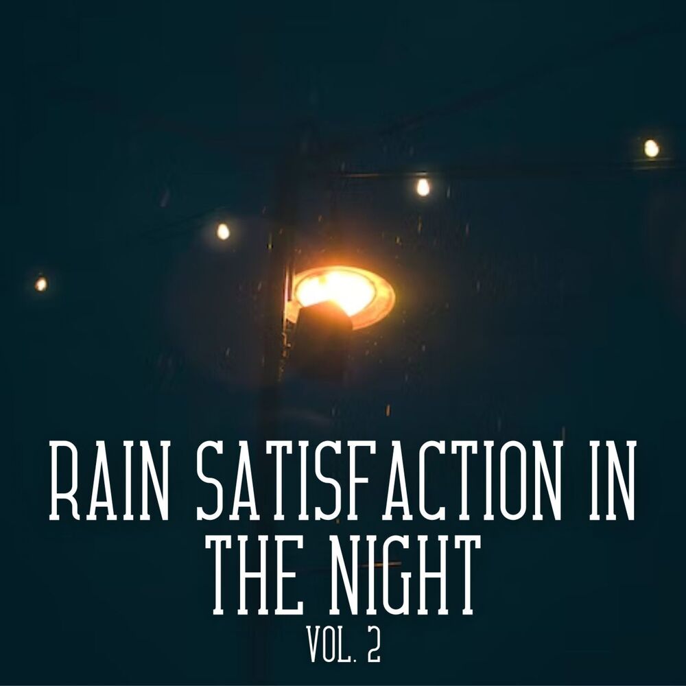 Picture of Rain Satisfaction in the Night Vol. 2