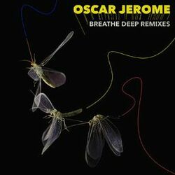 Cover of Breathe Deep Remixes
