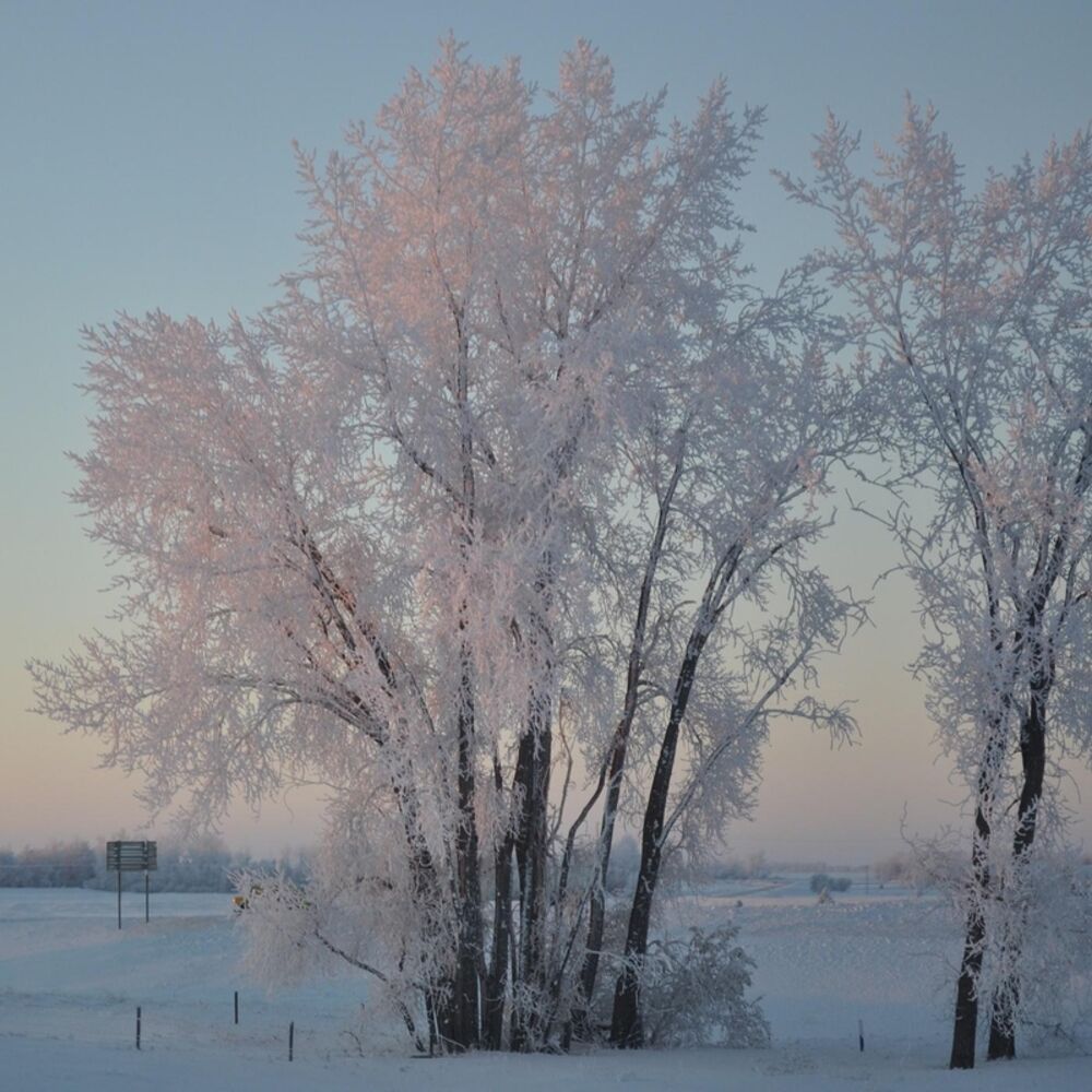 Picture of Winter Twilight