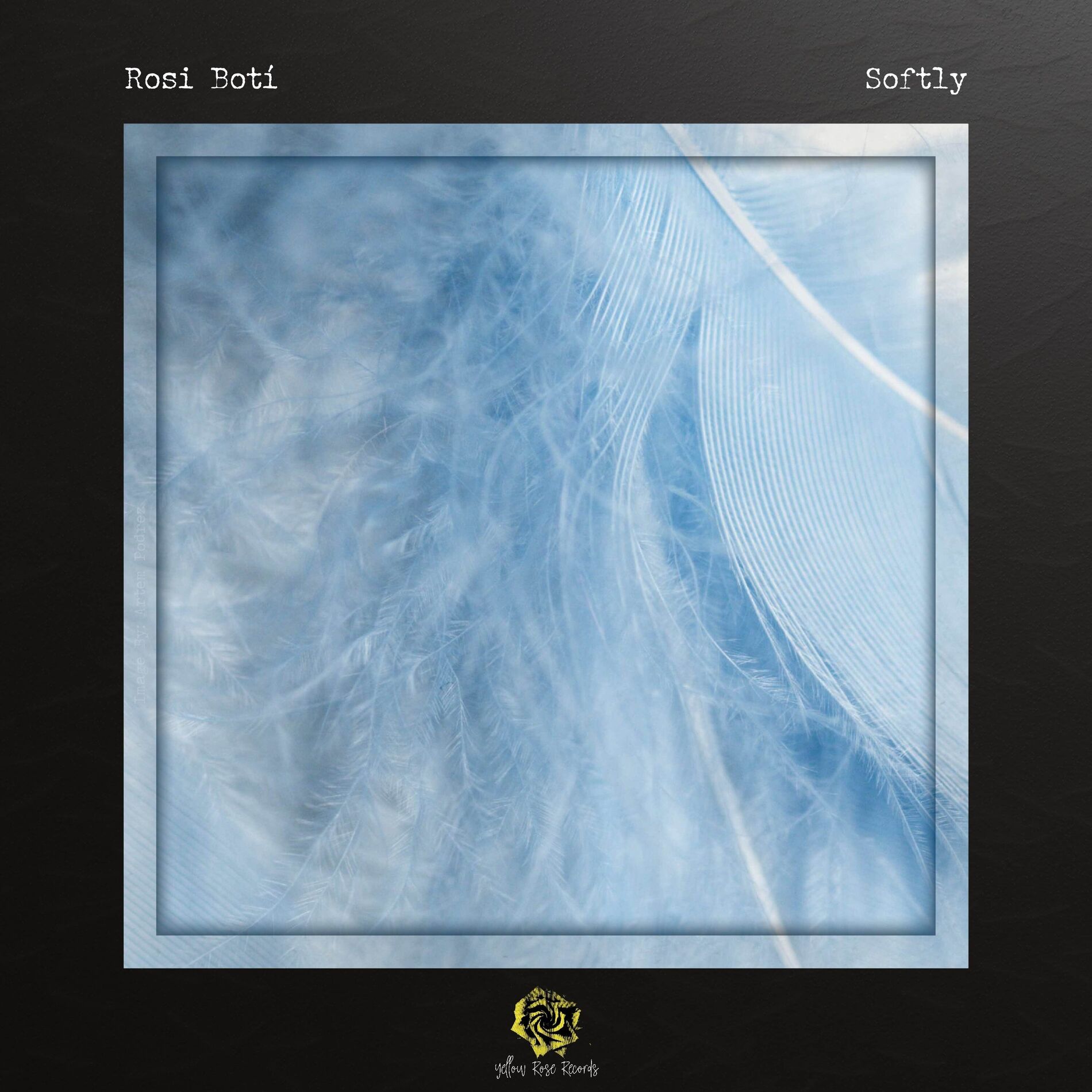Album cover of Softly