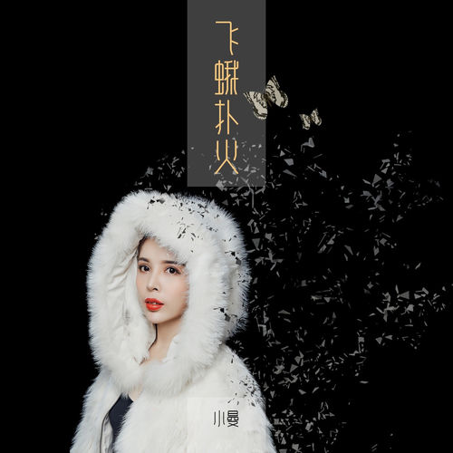 飞蛾扑火