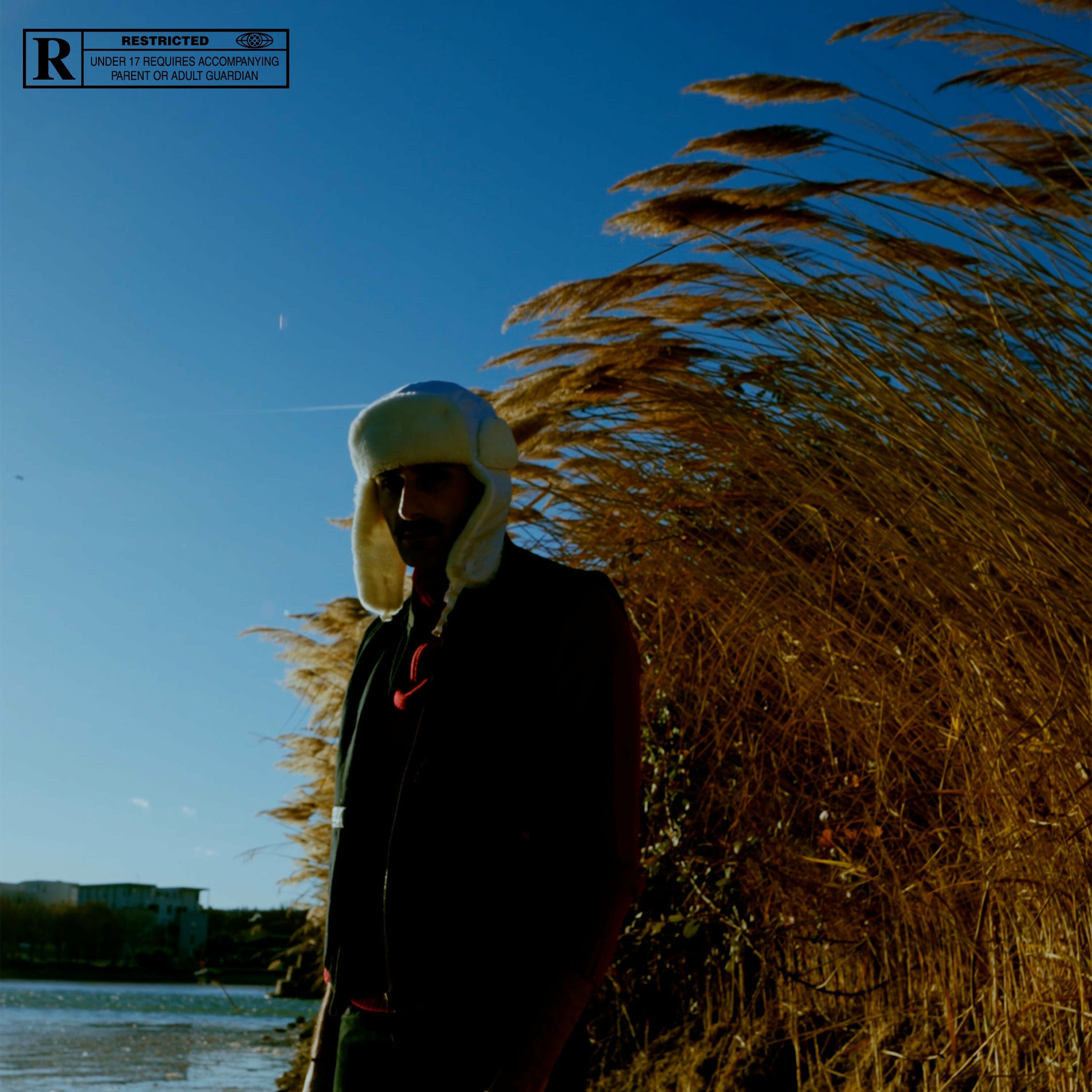 Album cover of LA PAIX DES BRAVES