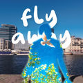 FLY AWAY