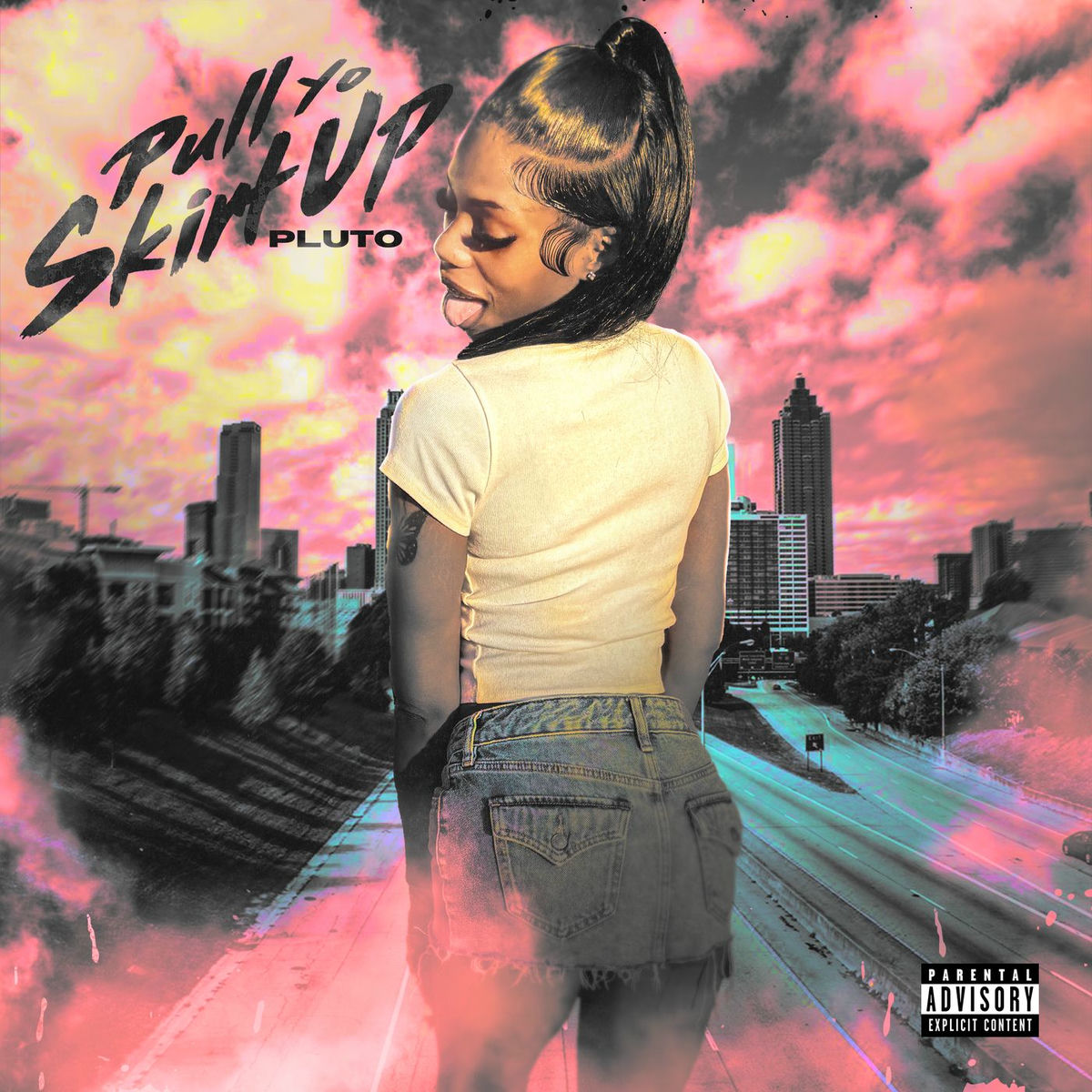 Album cover of Pull Yo Skirt Up