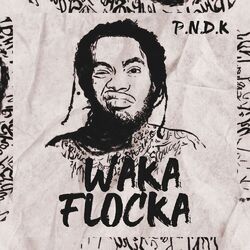 Cover of Waka Flocka