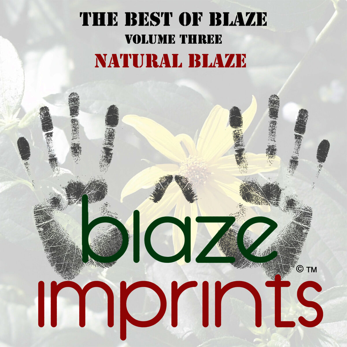Album cover of The Best of Blaze, Vol. 3 - Natural Blaze