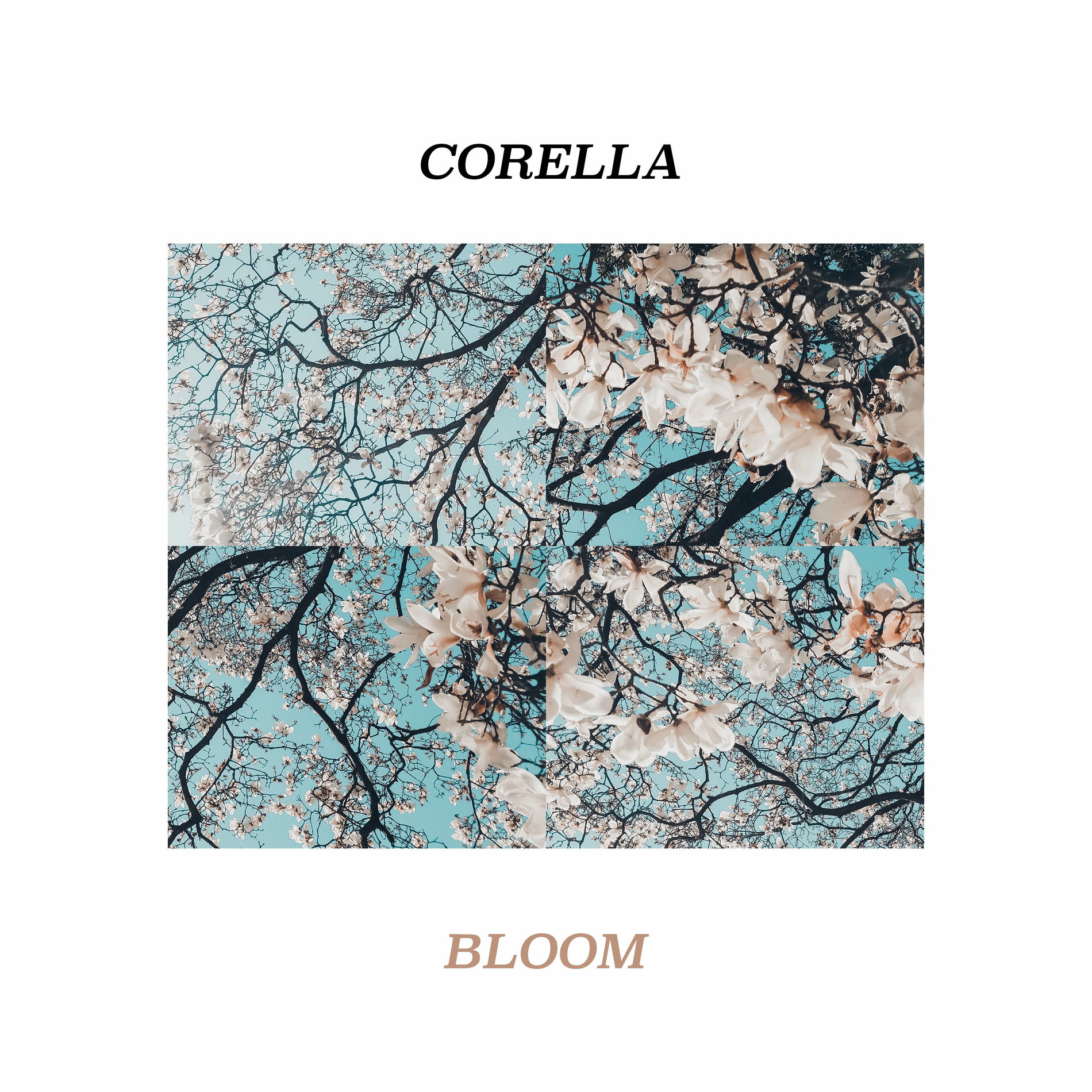 Album cover of Bloom