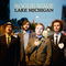 Lake Michigan (Radio Edit) by Rogue Wave album cover