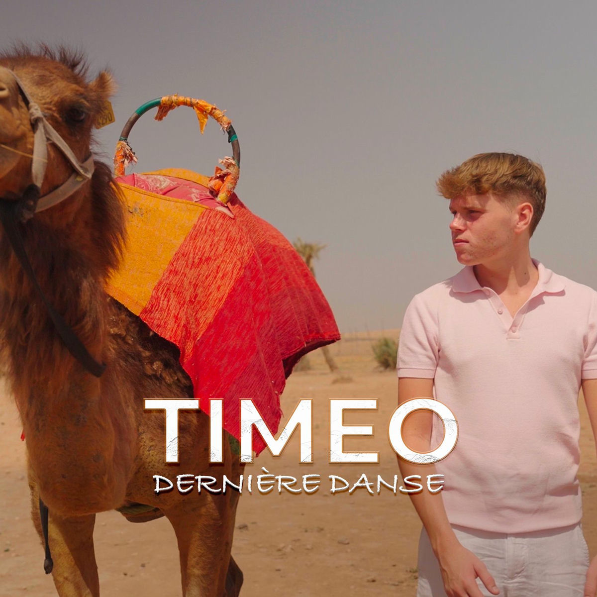 Album cover of Derniere Danse