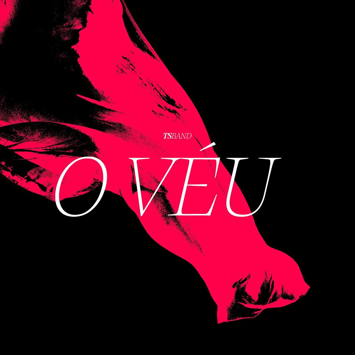 Album cover of O Véu