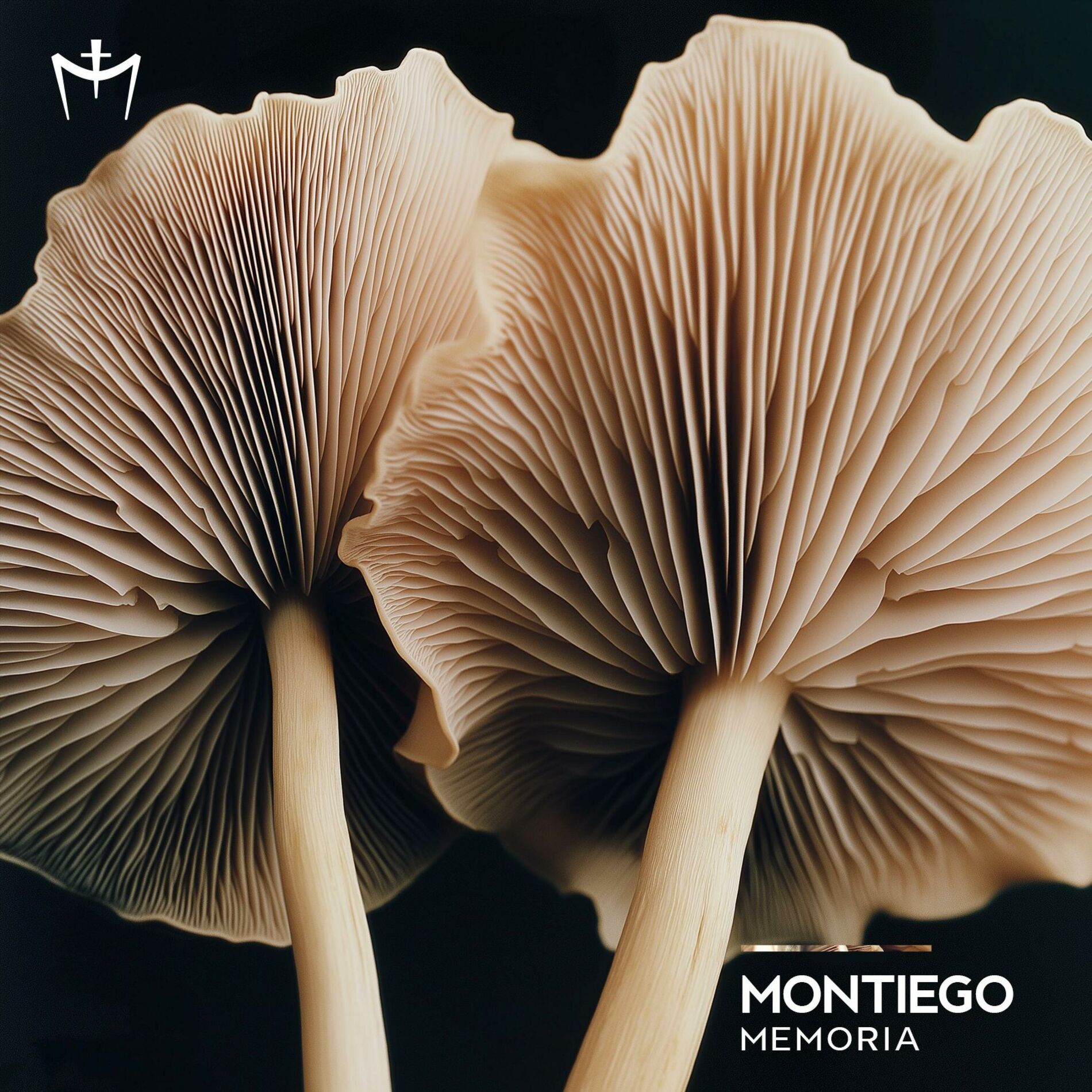 Album cover of Memoria