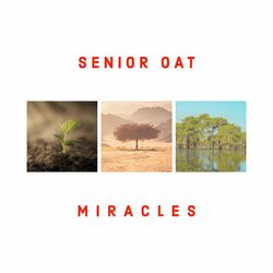 Cover of Miracles