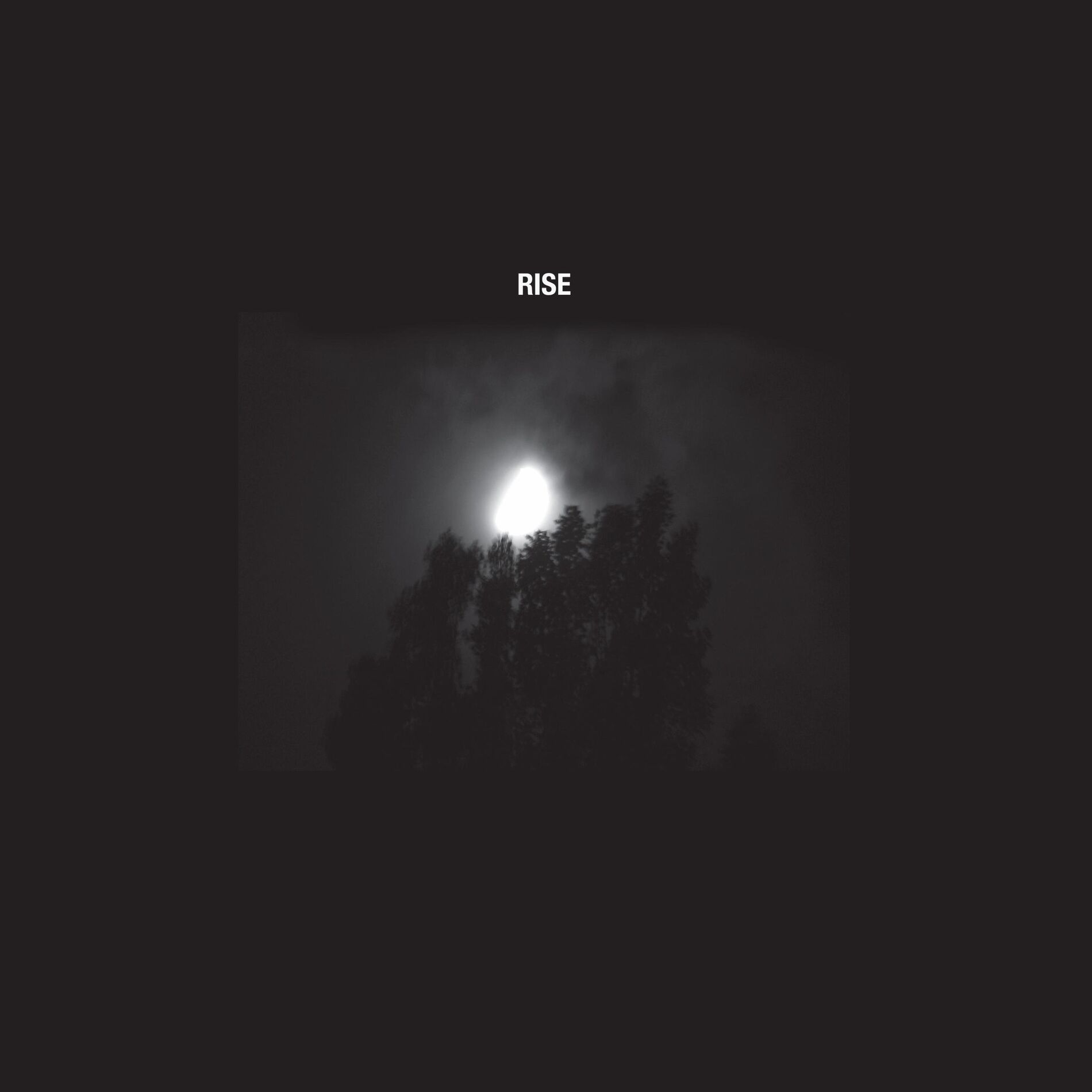 Album cover of RISE