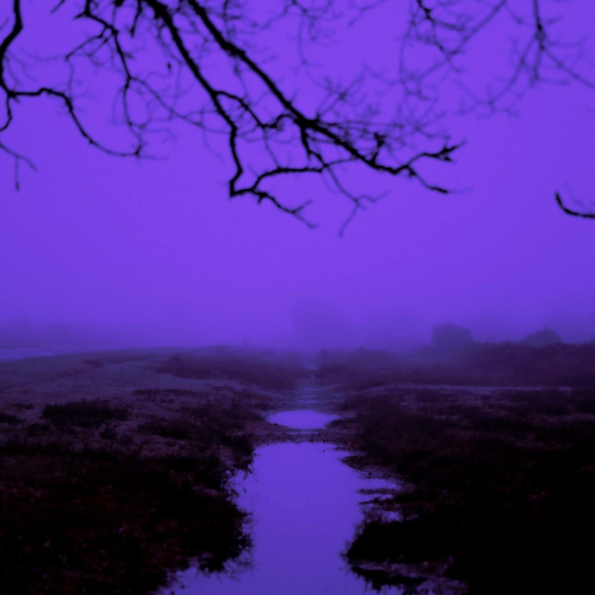 Album cover of without you