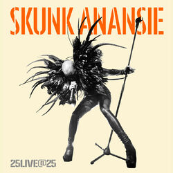 Cover of 25LIVE@25