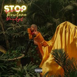 Cover of Stop (Remix)