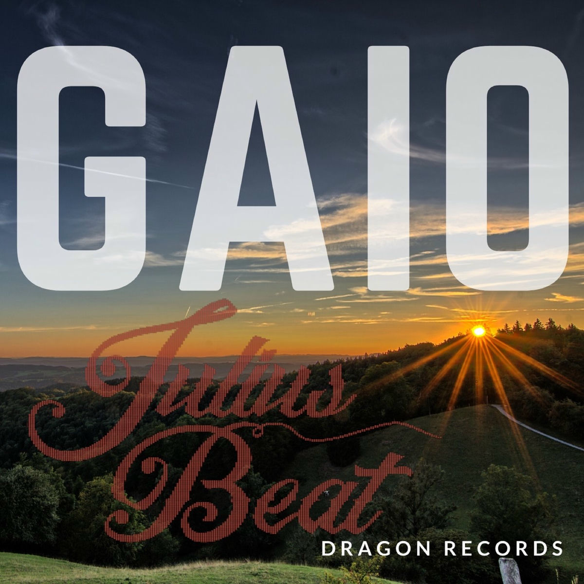 Album cover of Gaio