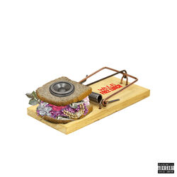 Cover of Free Lunch