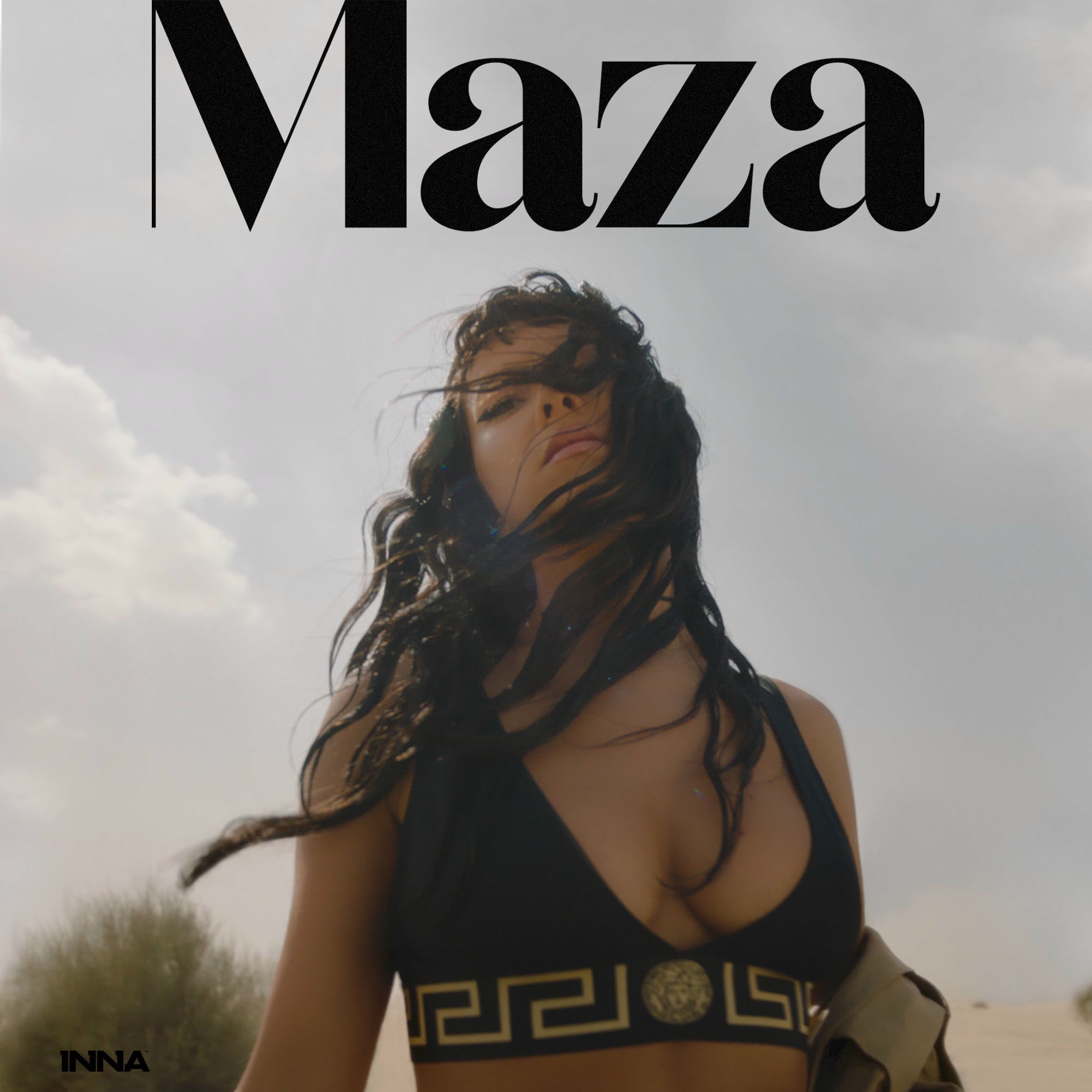 Album cover of Maza