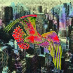 Cover of bend e.p
