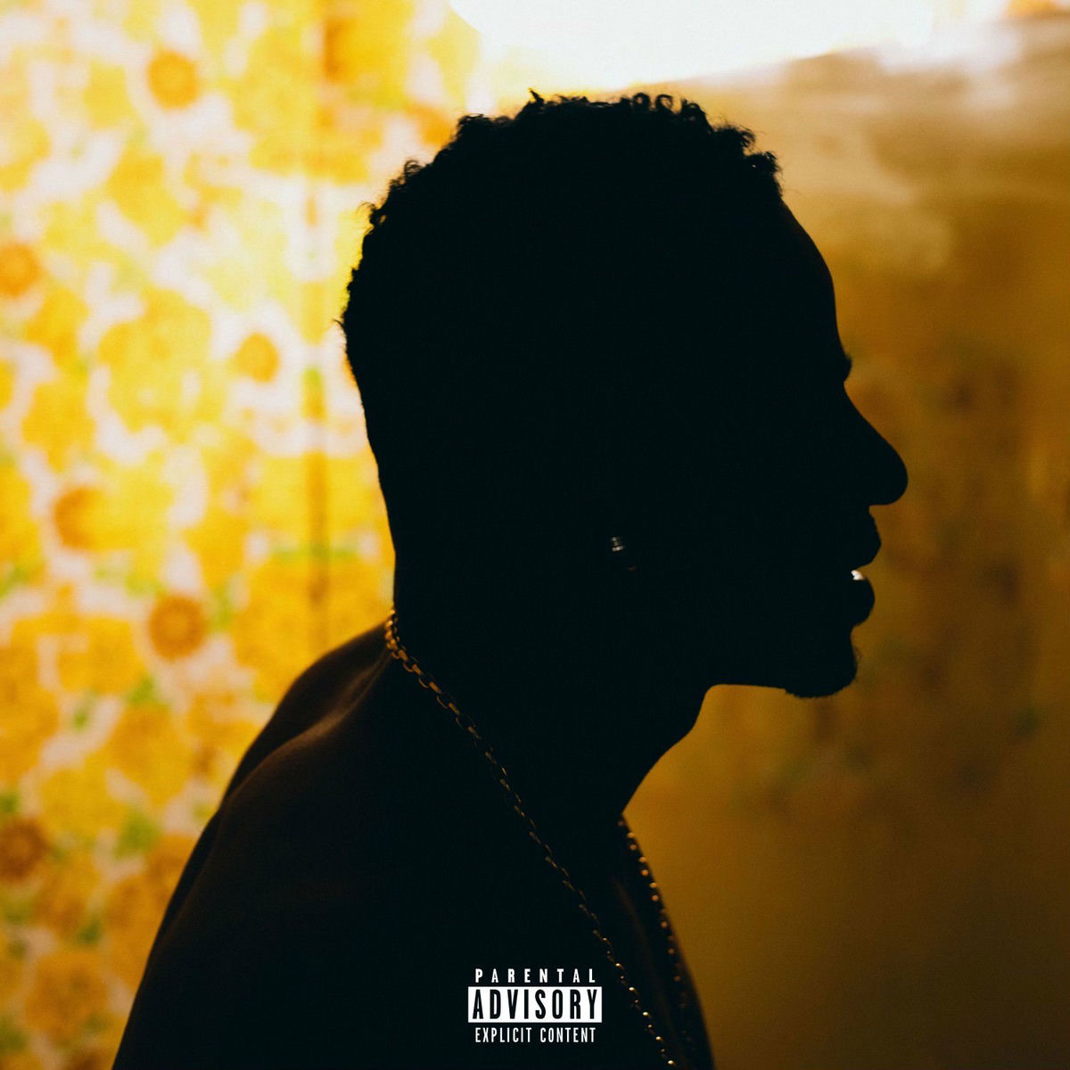 Album cover of New Light (Acoustics)