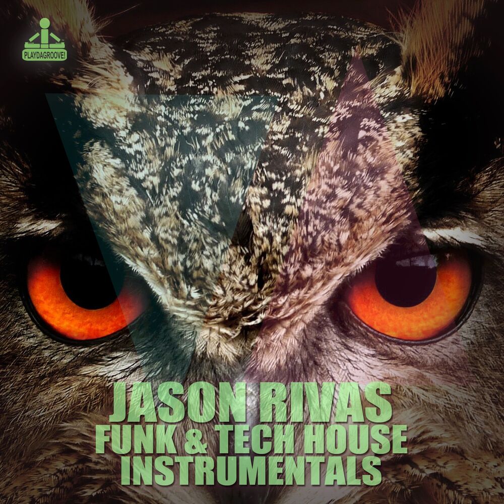 Picture of Funk & Tech House Instrumentals