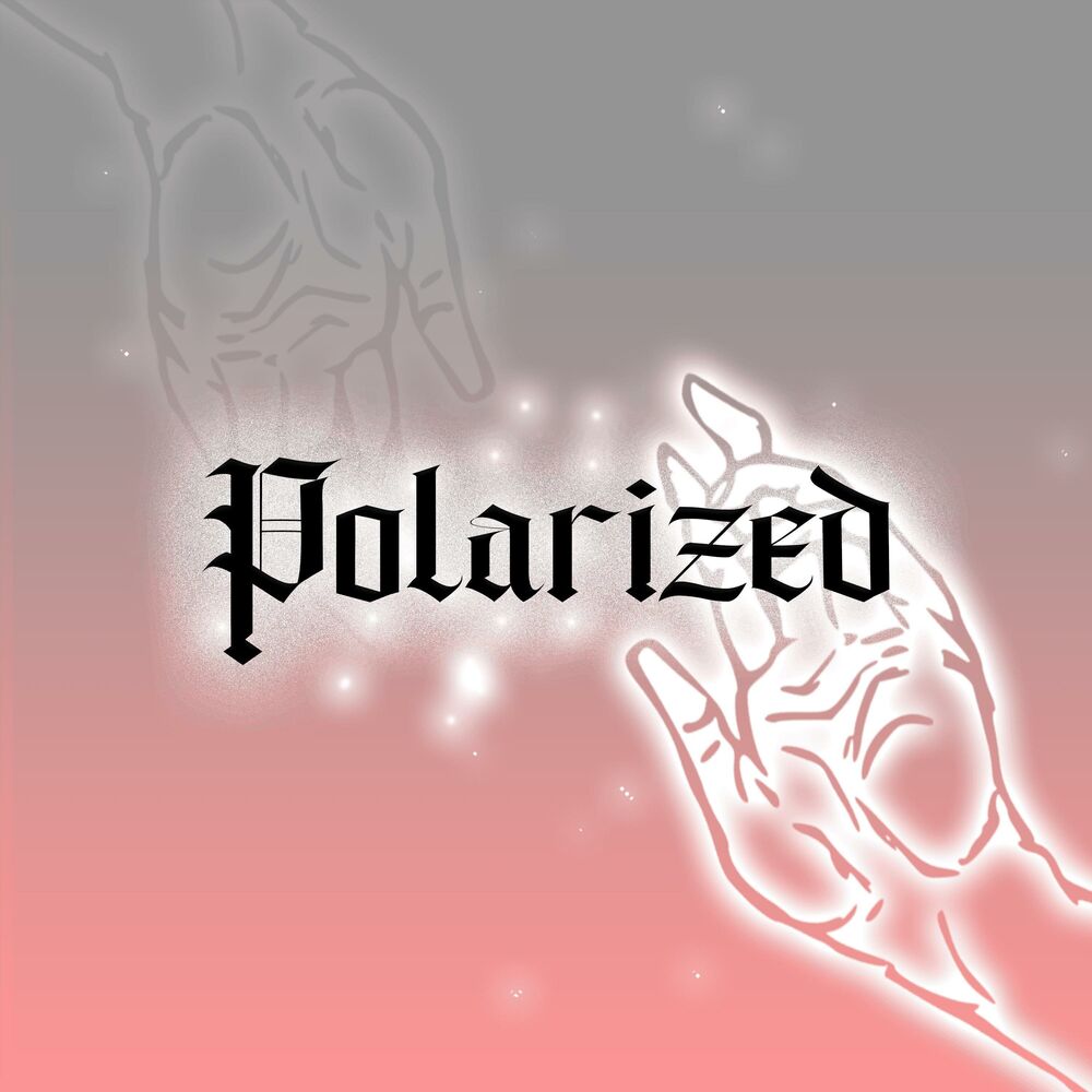Picture of Polarized