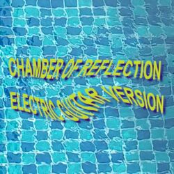 Cover of Chamber of Reflection
