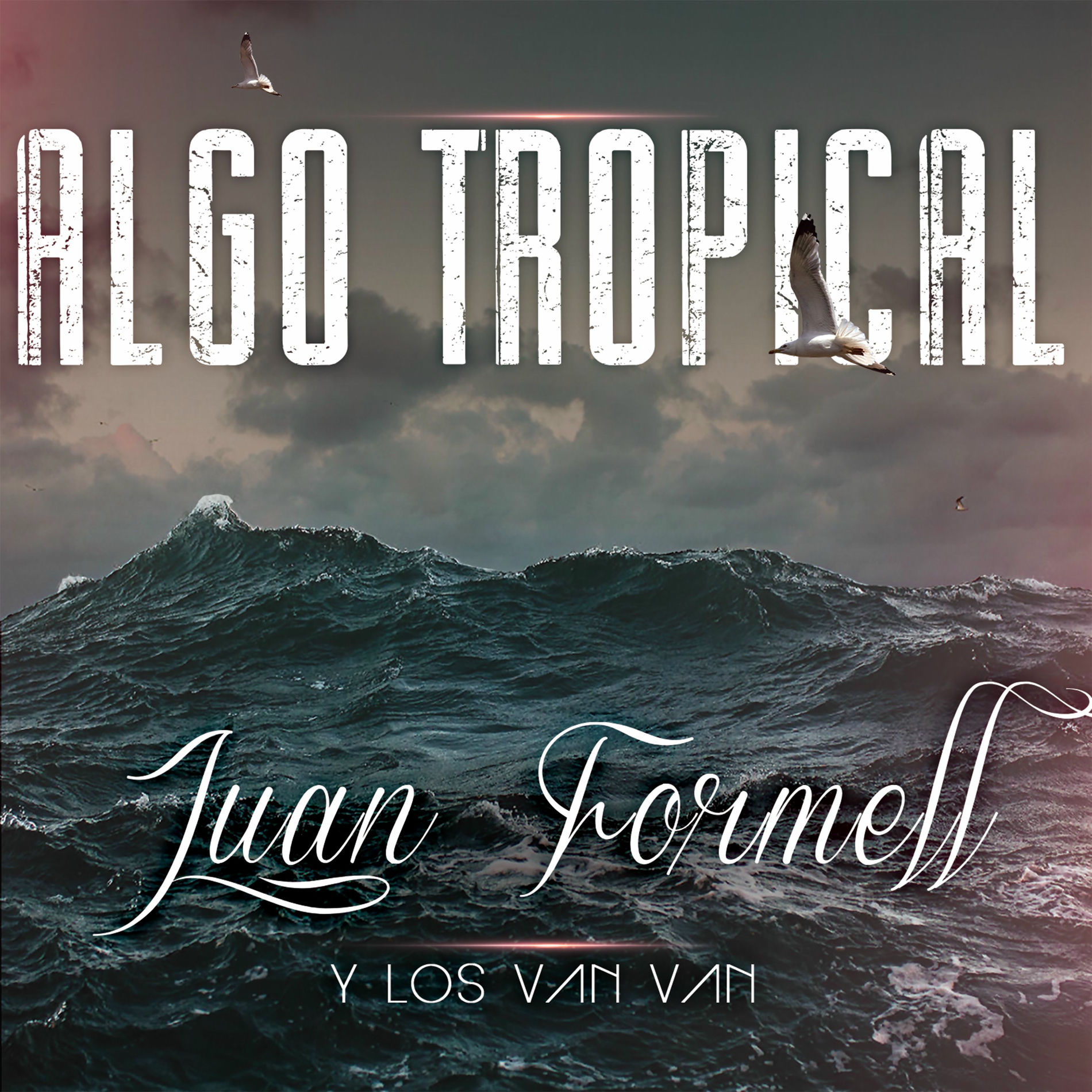 Album cover of Algo Tropical