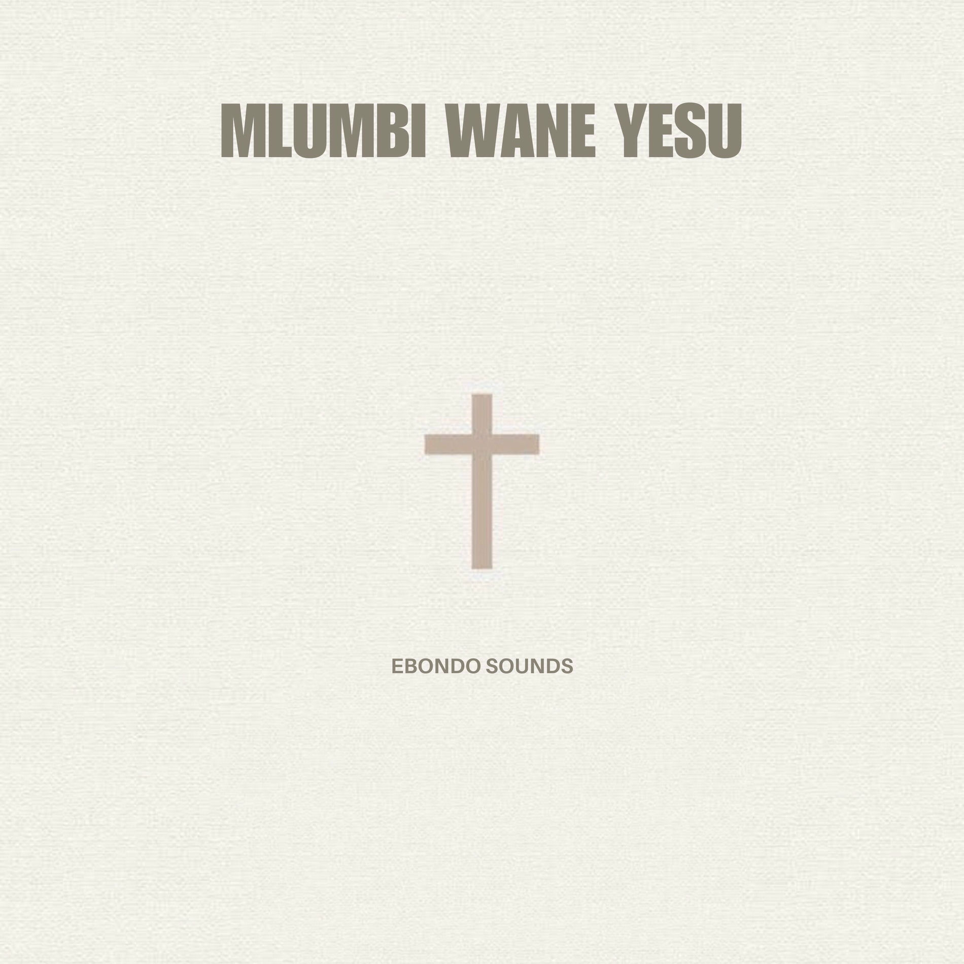 Album cover of Mlumbi Wane Yesu