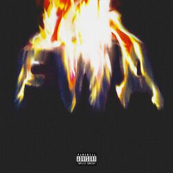Cover of FWA
