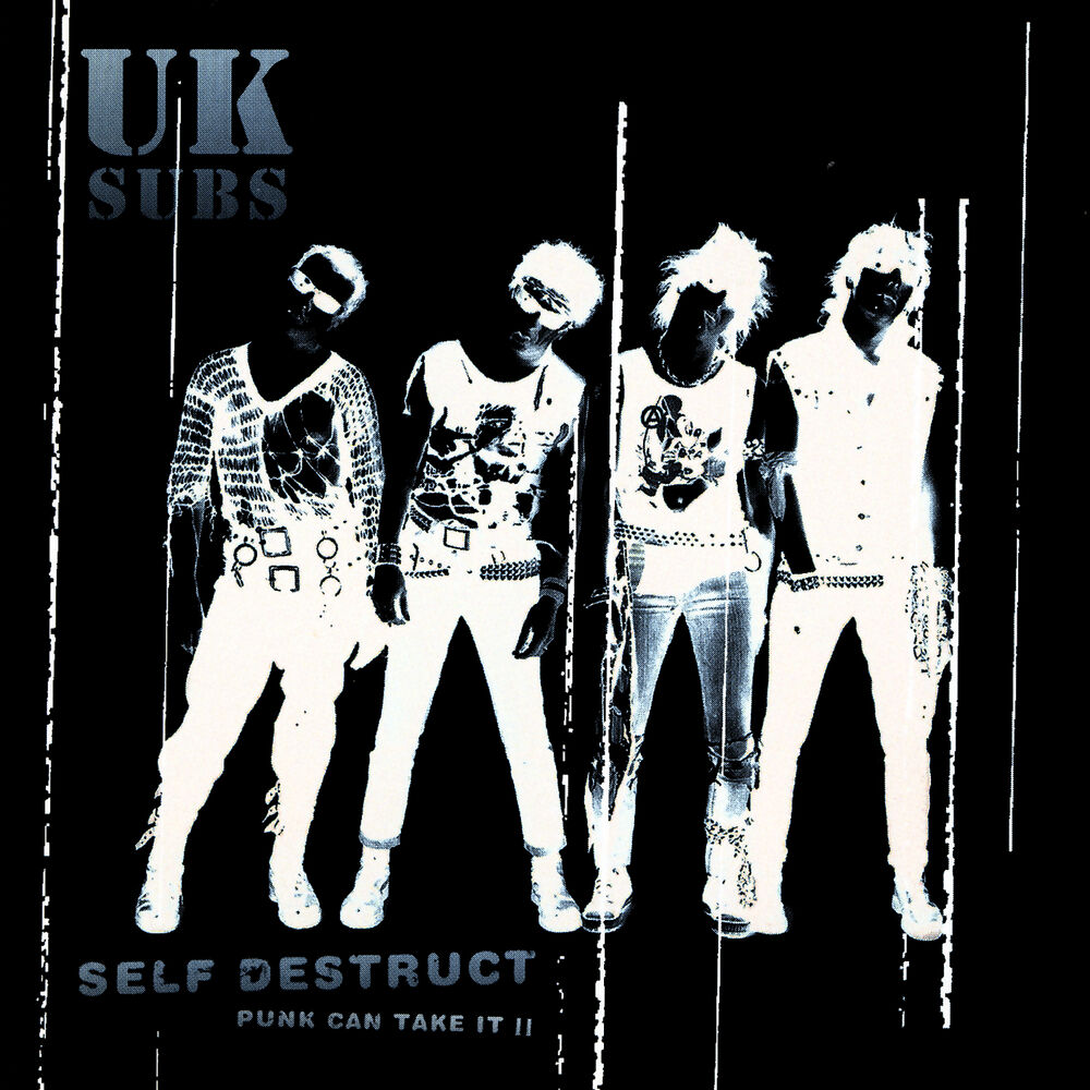 Picture of Self Destruct - Punk Can Take It II