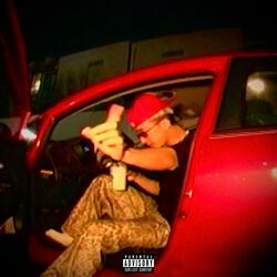 Cover of BETTER NOT